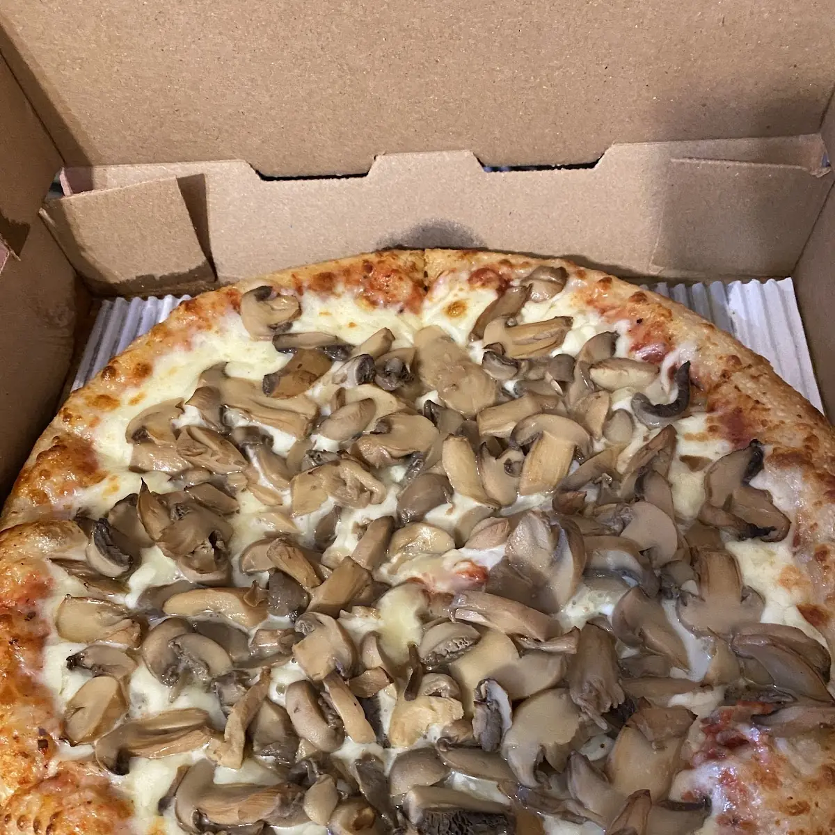 Medium Double Mushroom Pizza