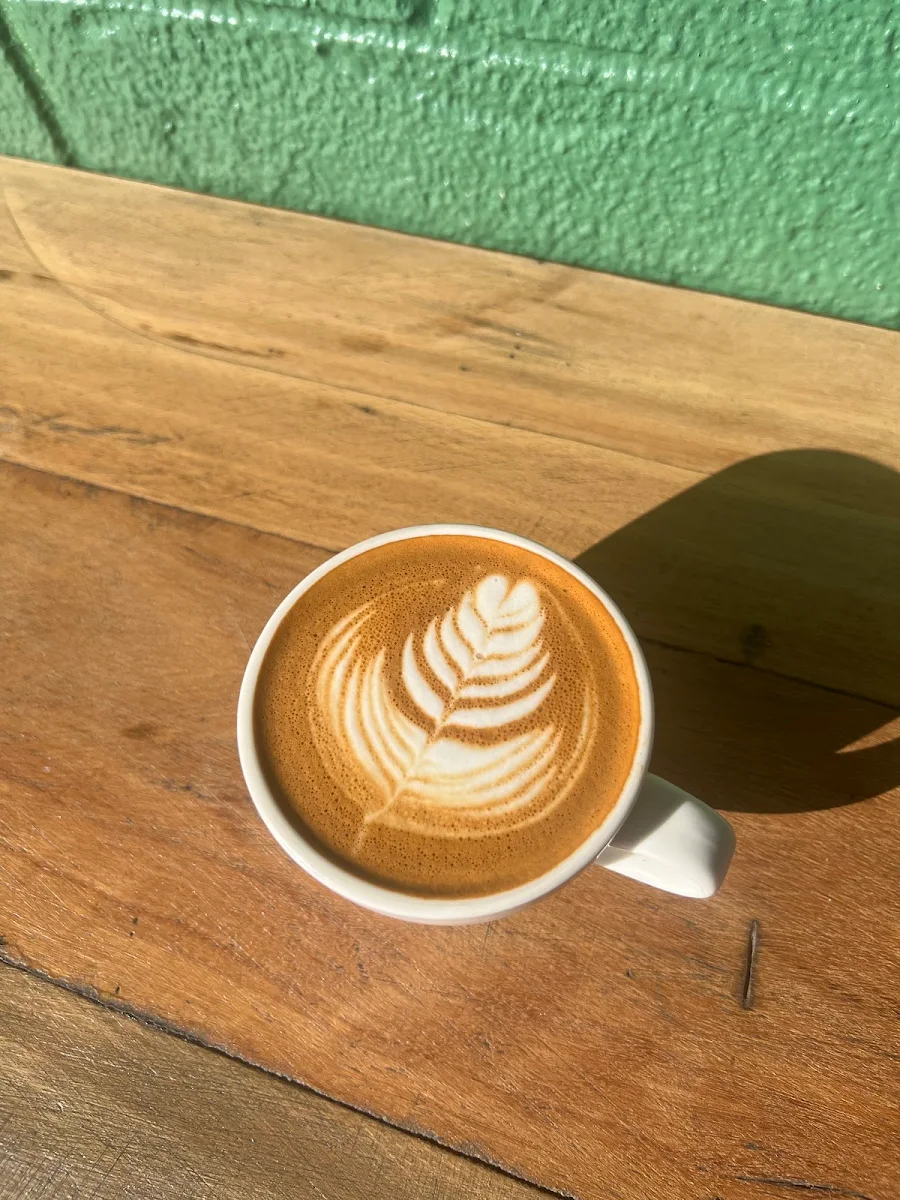 Highlights, Wonday Coffee + Gelato