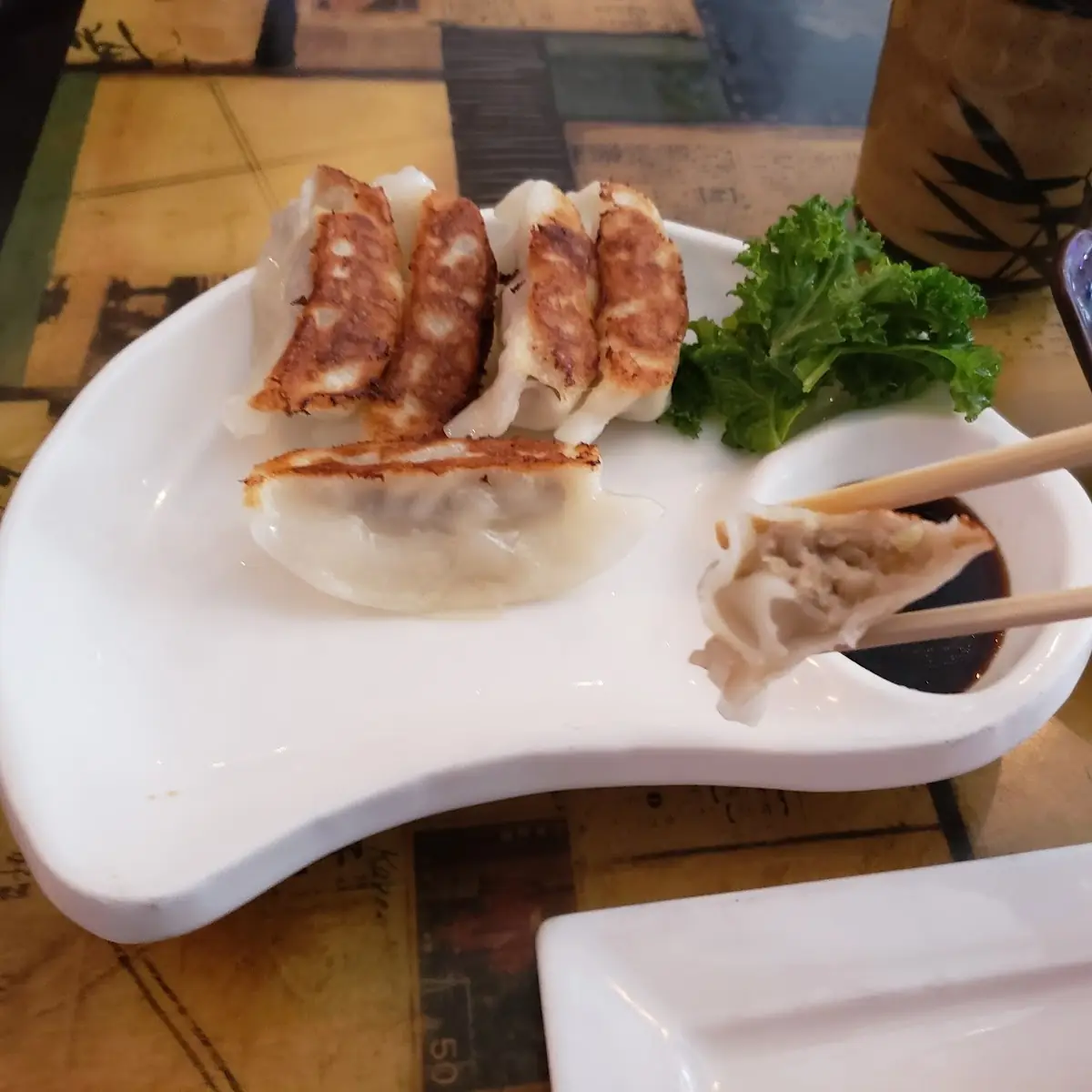 Goyza Pan Fried Dumplings