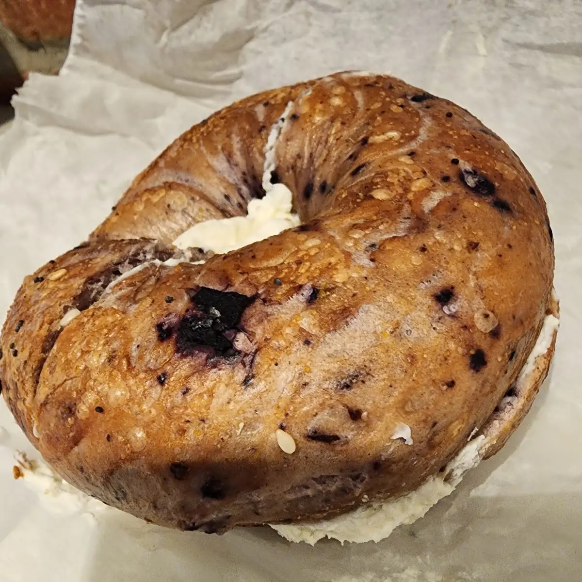 Everything Bagel with Cream Cheese