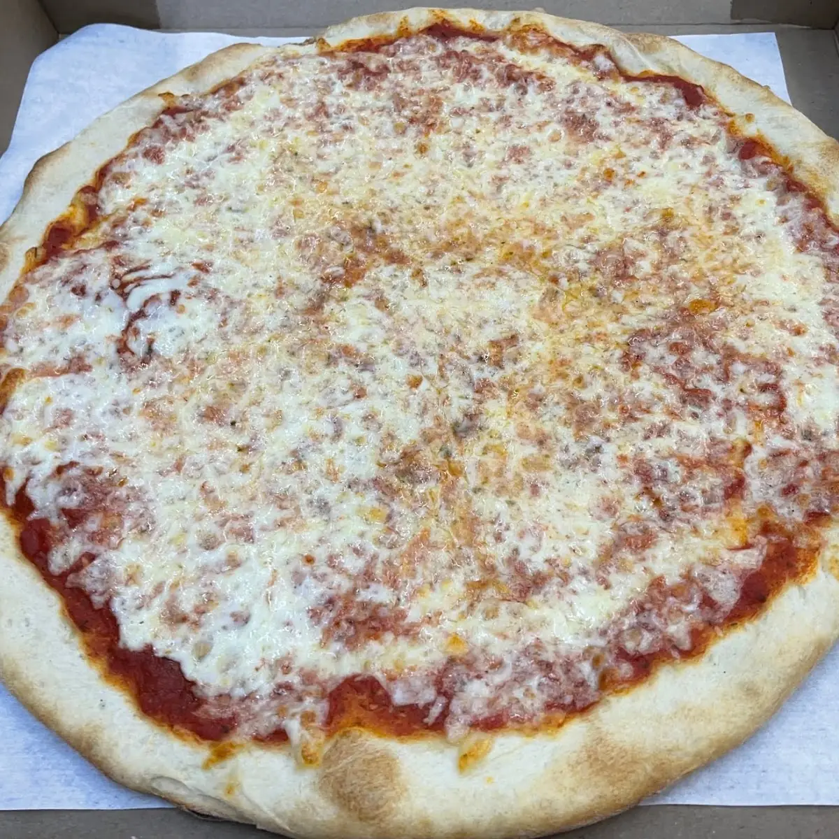 Cheese Pizza L