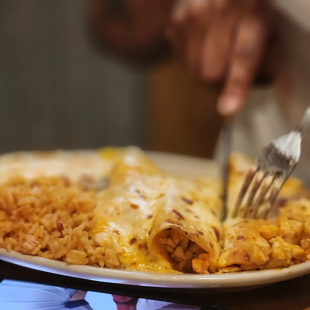 Chicken and Cheese Enchiladas