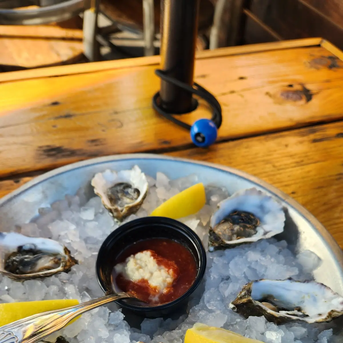 Oysters on the 1 2 Shell