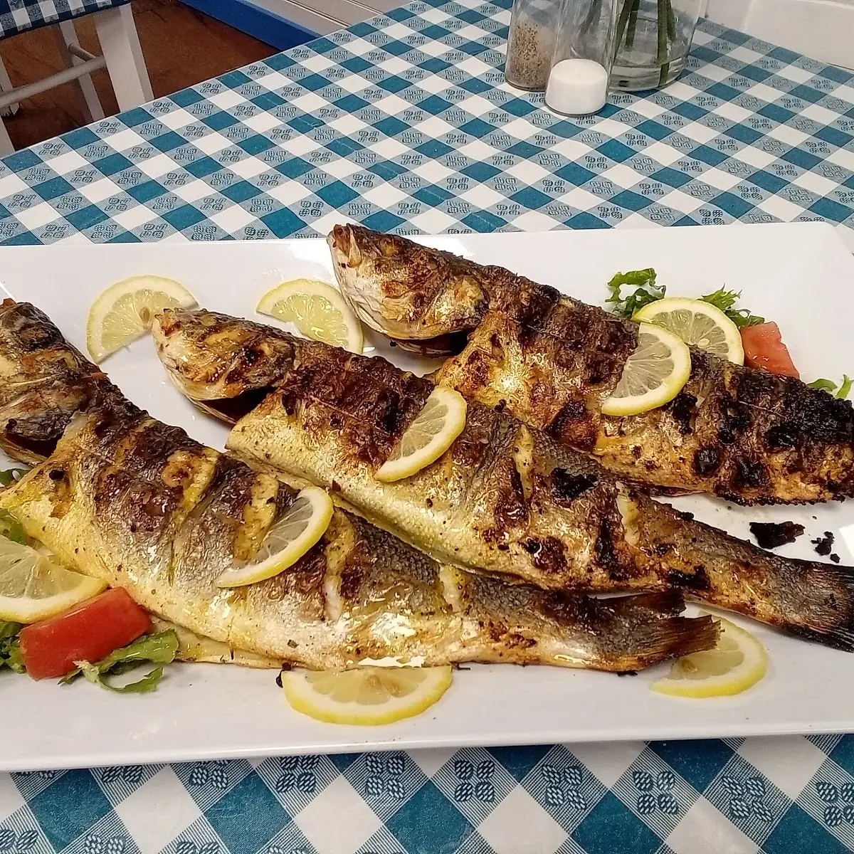 Sea Bass