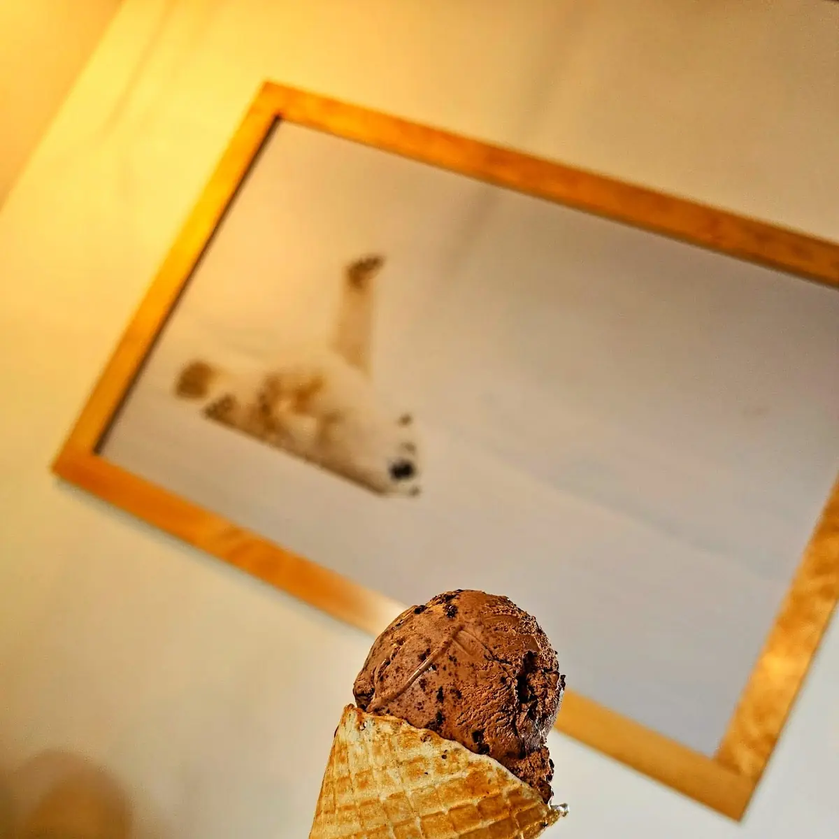 Peanut Butter Chocolate Ice Cream