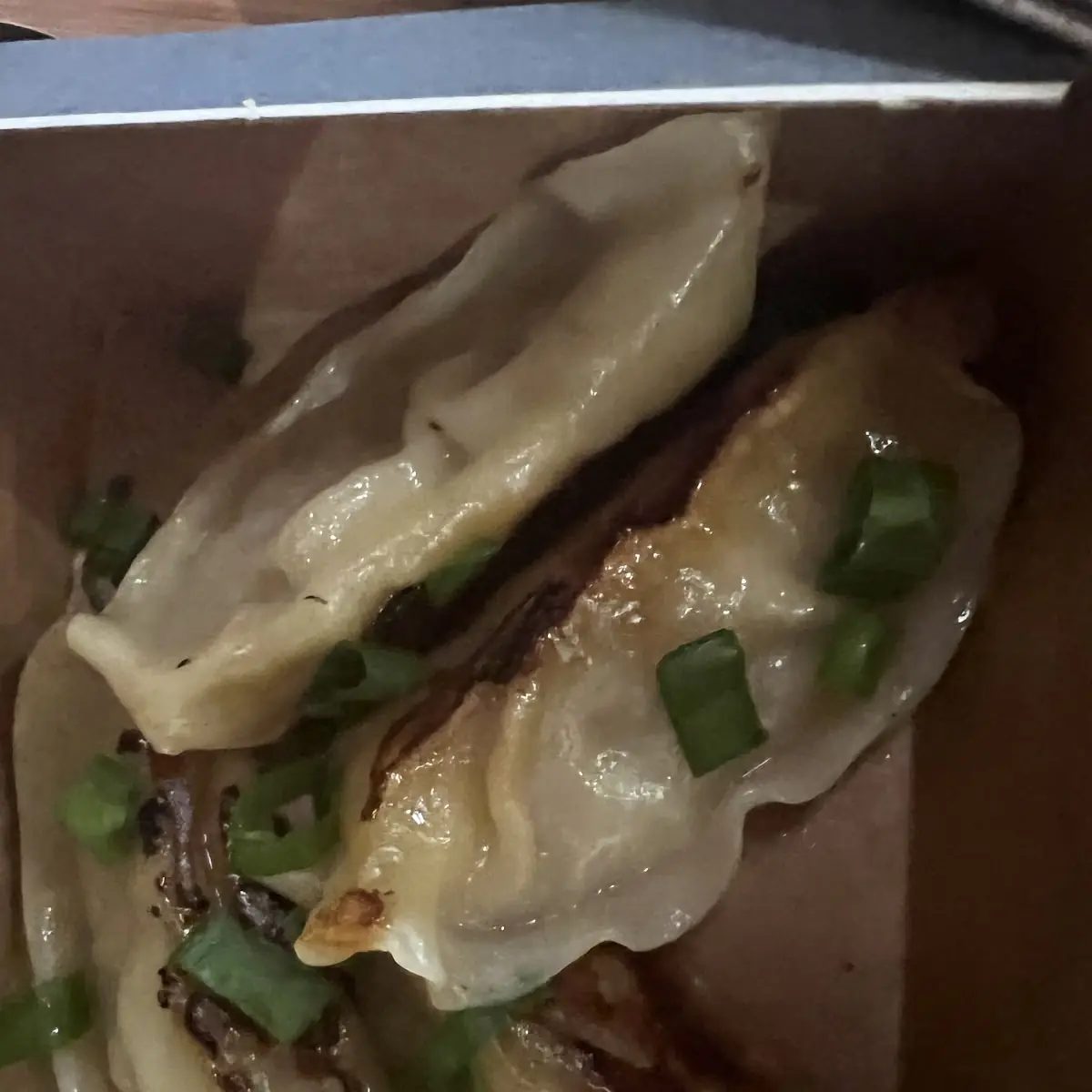 Vegetable Gyoza