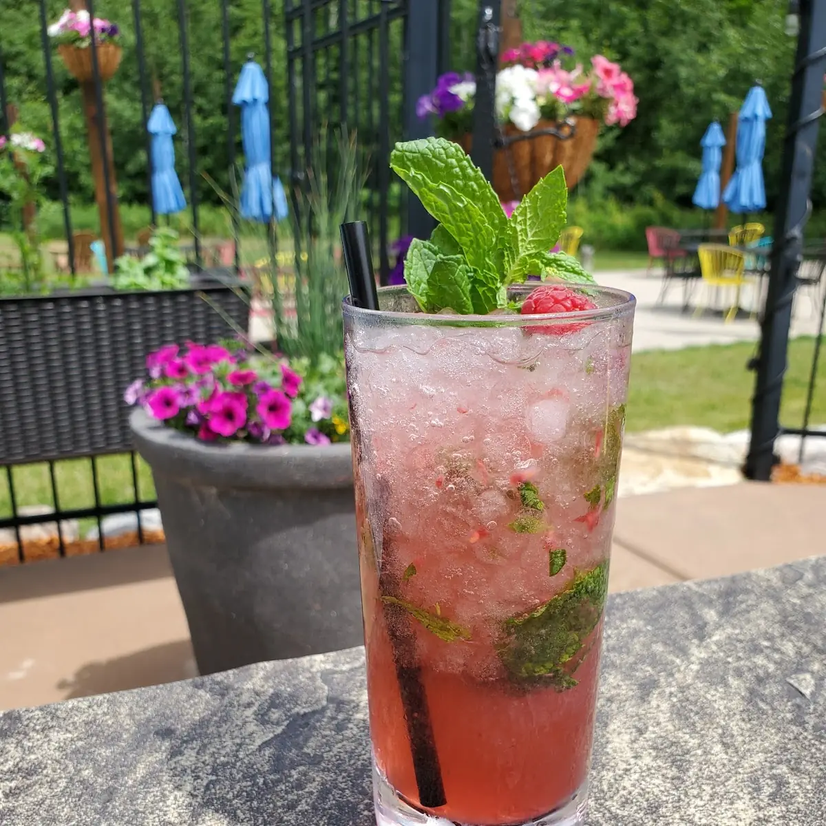 Raspberry Mojito
