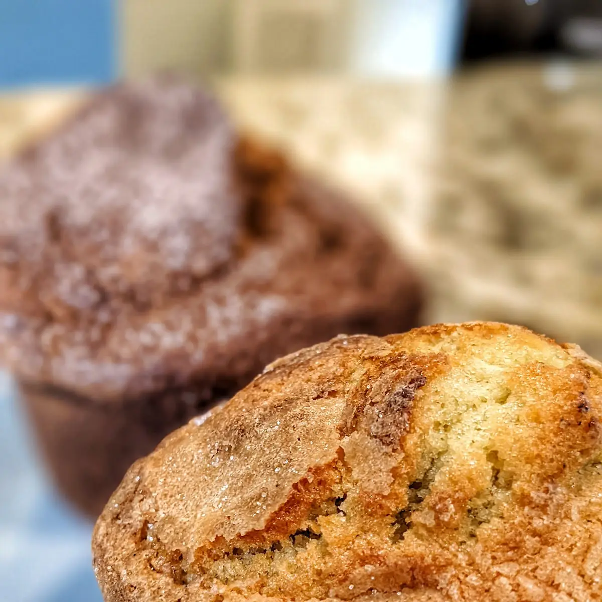 Blueberry Muffin