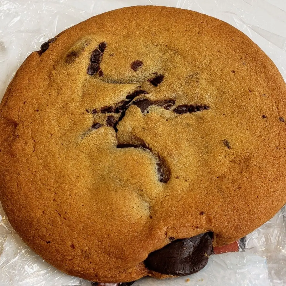 Chocolate Chip Cookie