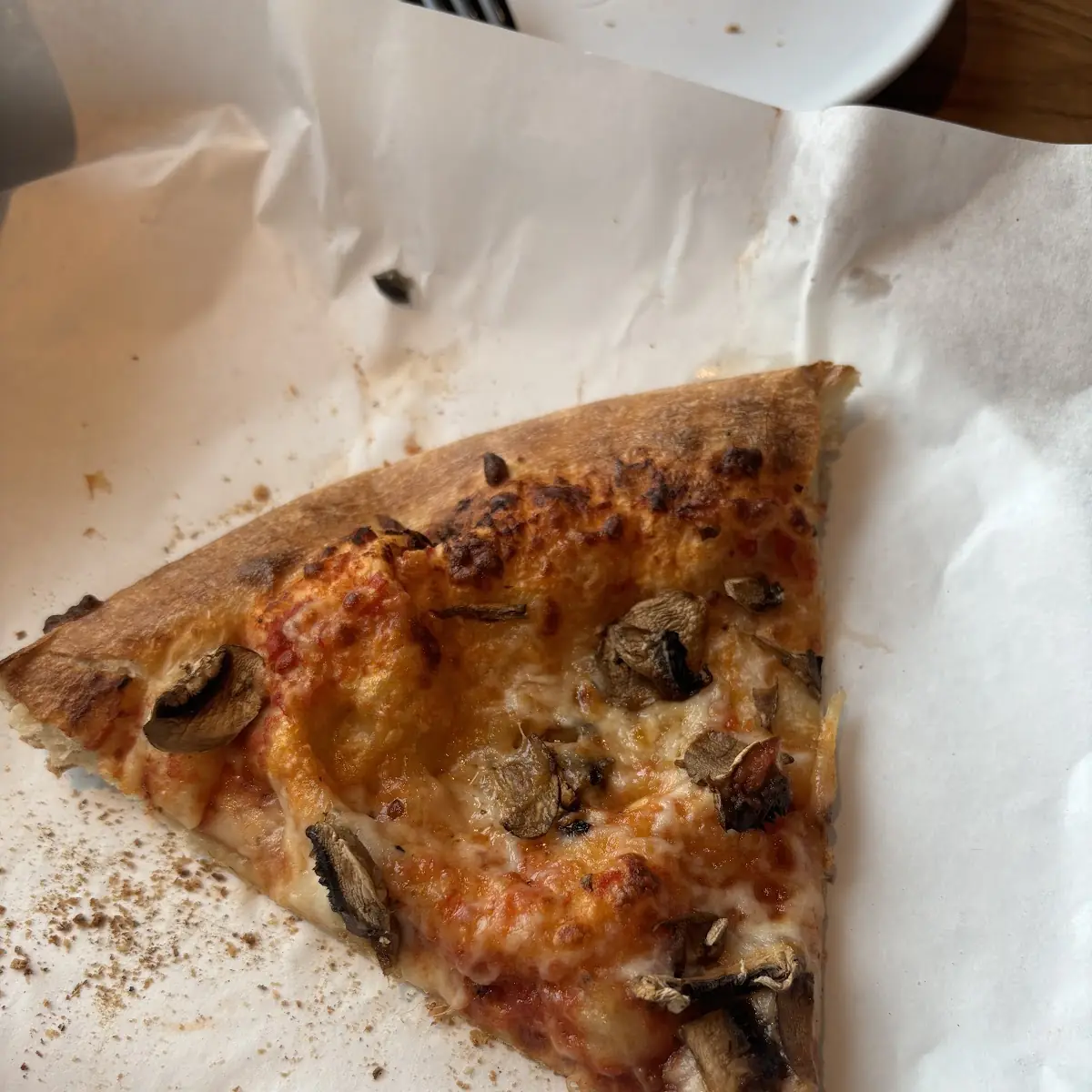 Mushroom and Cheese Pizza