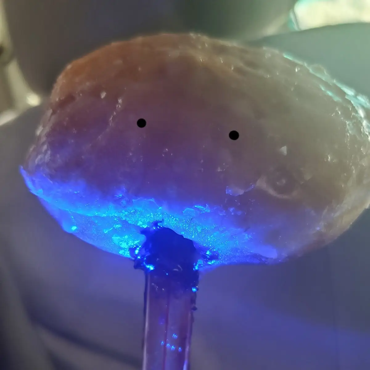 Blueberry Donut