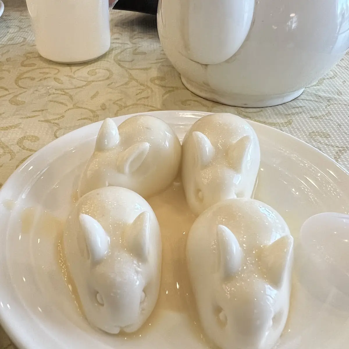 Coconut Jelly