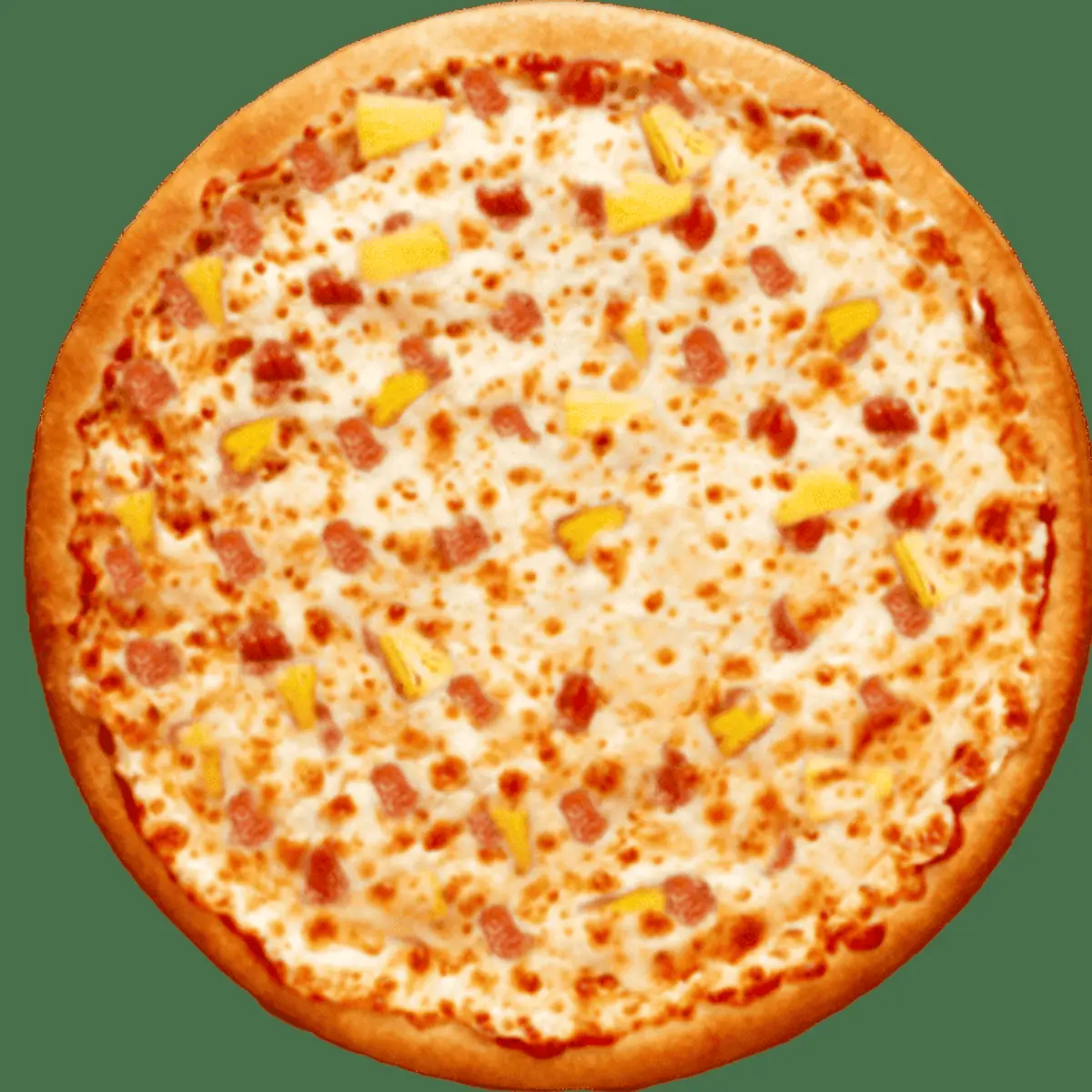 Highlights, PBX1 PIZZA & GRILL INC.
