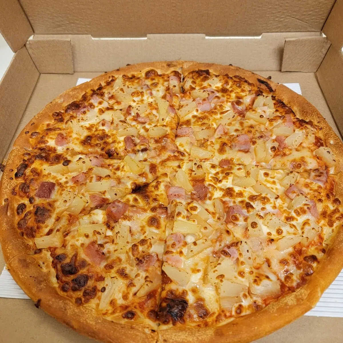 Highlights, PBX1 PIZZA & GRILL INC.
