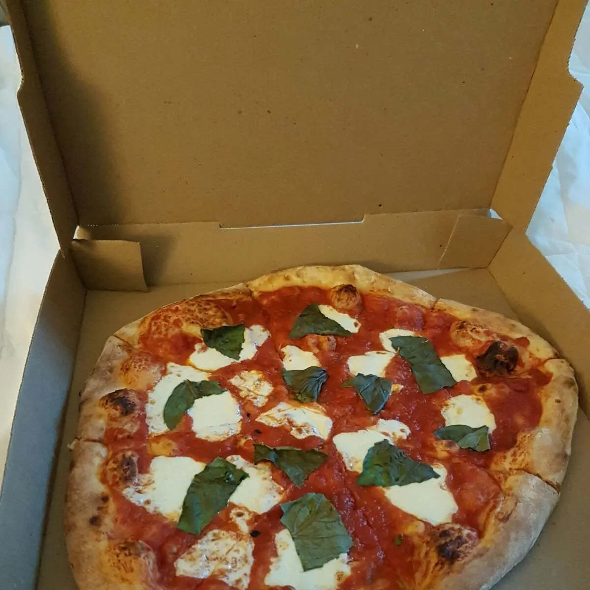 Margherita Pizza