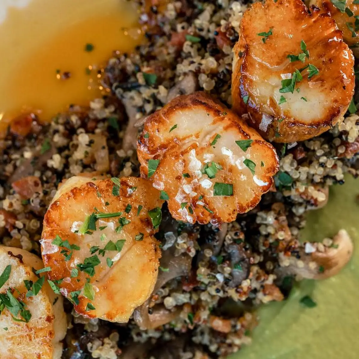 Seared Scallops