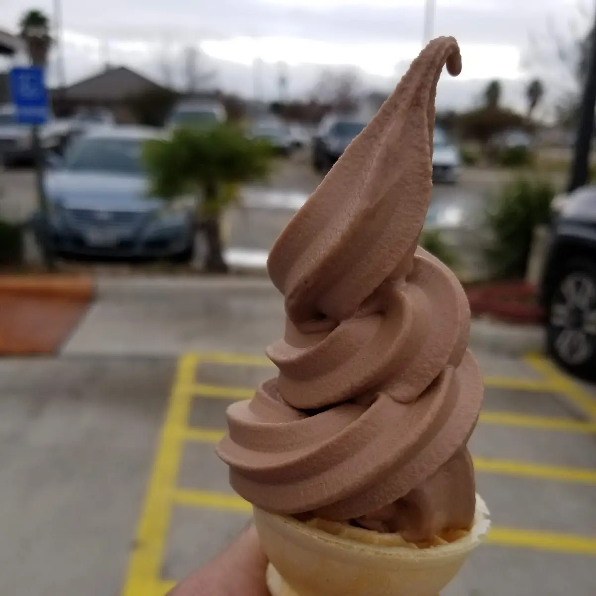 Free Ice Cream Cone