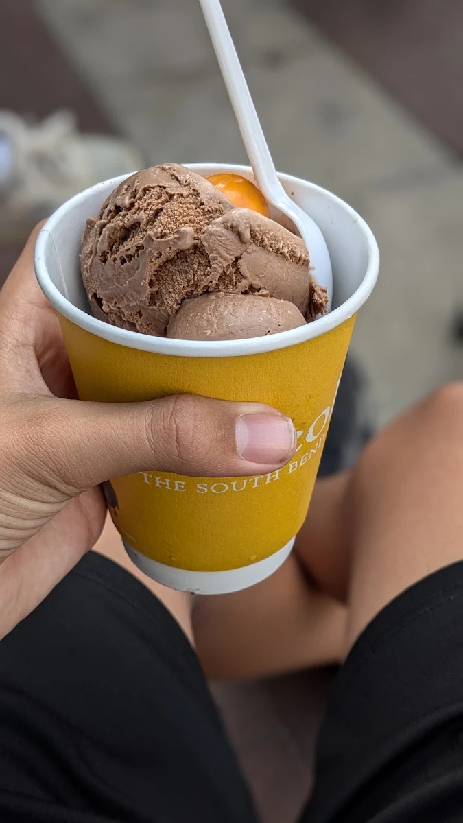 Chocolate Ice Cream