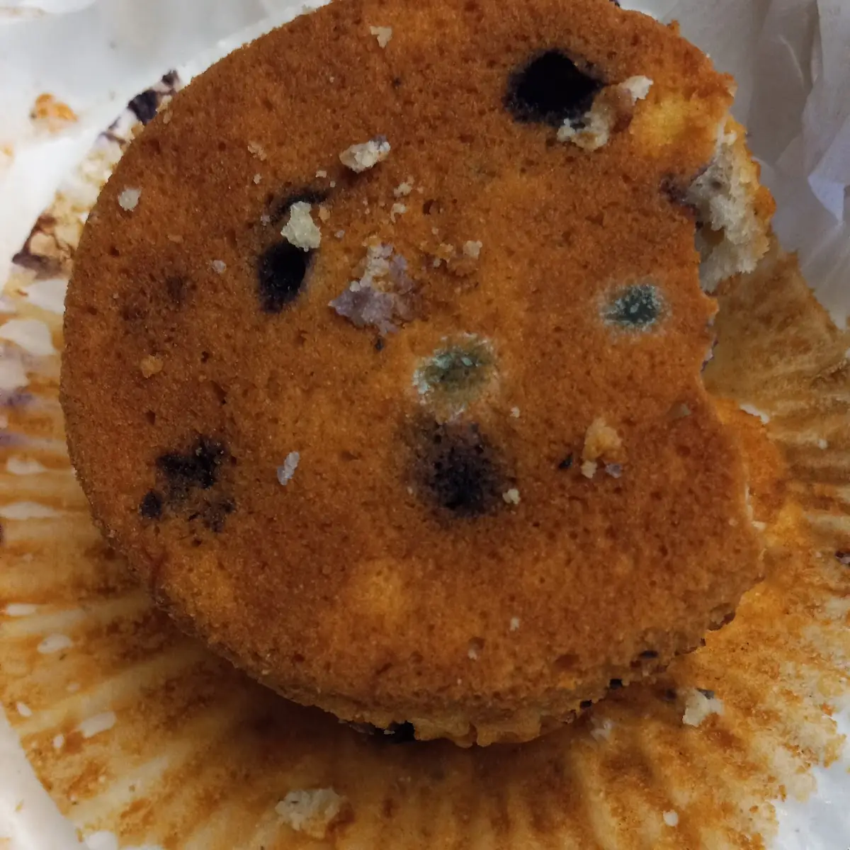 Blueberry Pancakes