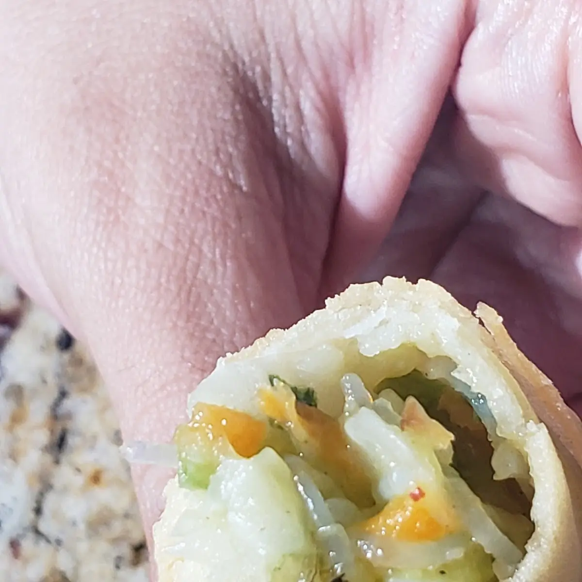 Veggie Spring Rolls 2