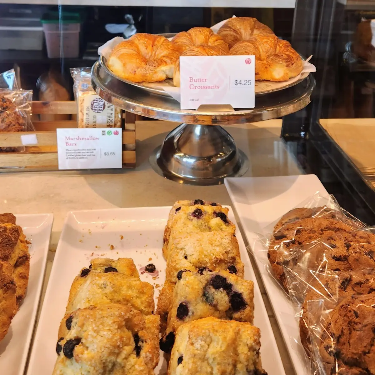 Blueberry Muffin