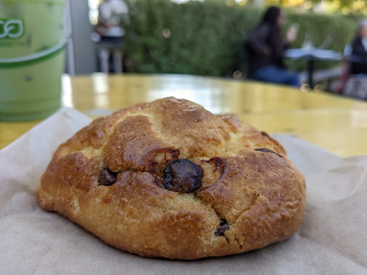 Chocolate Scone