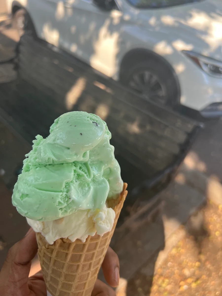 Mint Chocolate Chip