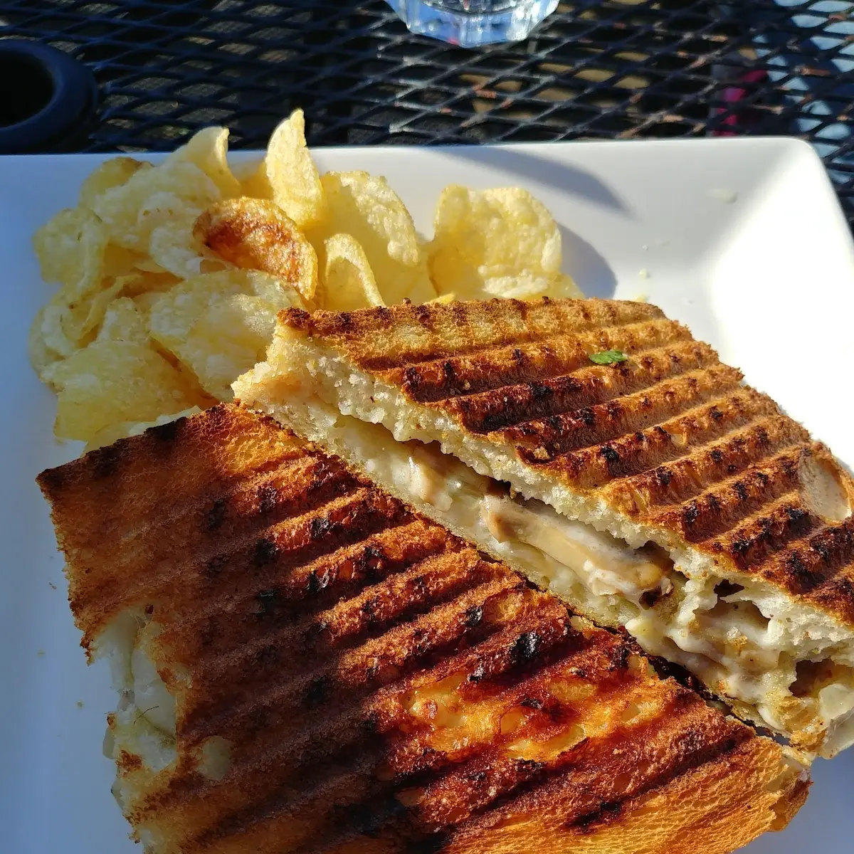 Grilled Cheese Panini