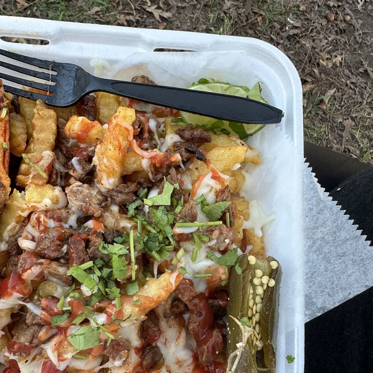 Carne Asada Fries