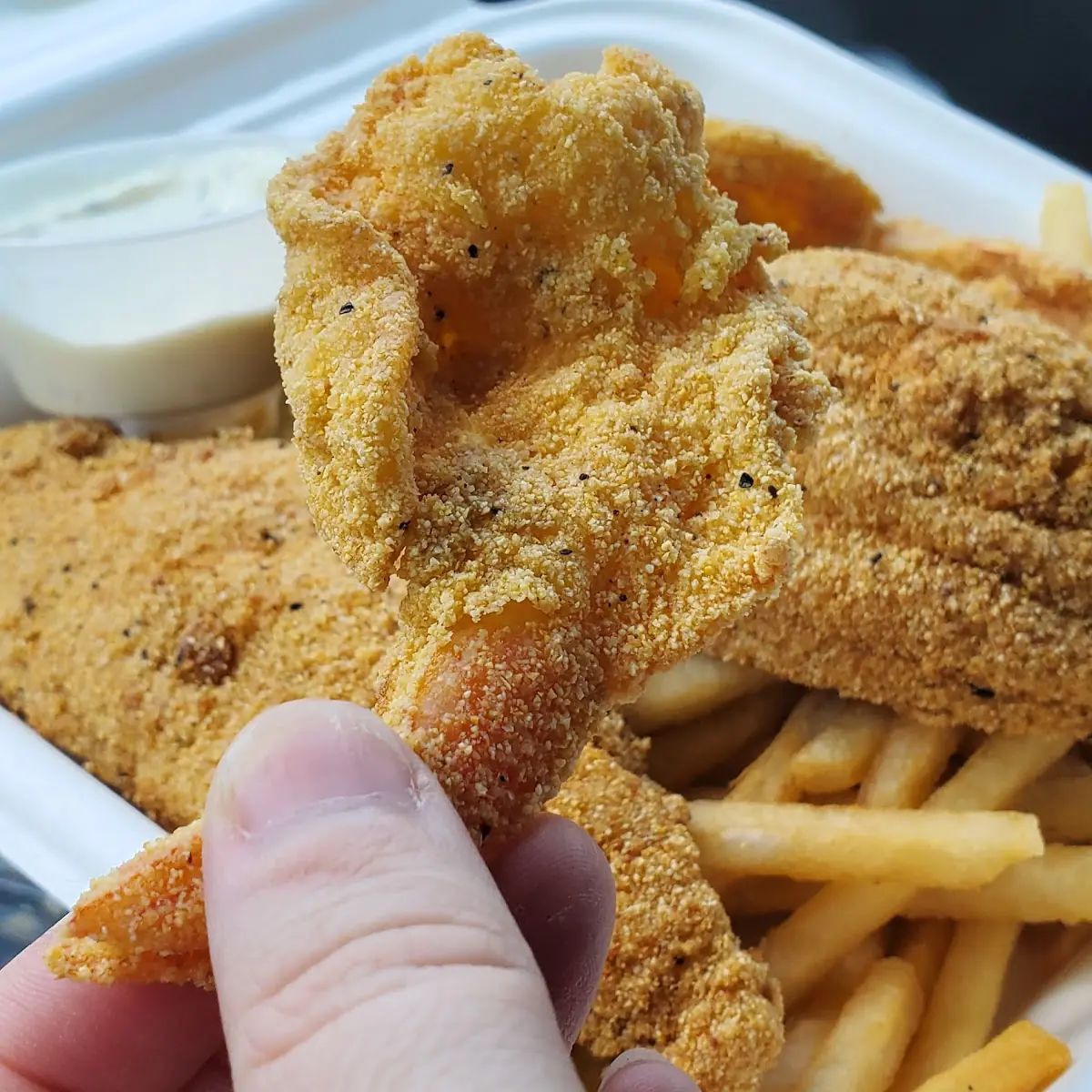 Catfish 1 Chicken Strip