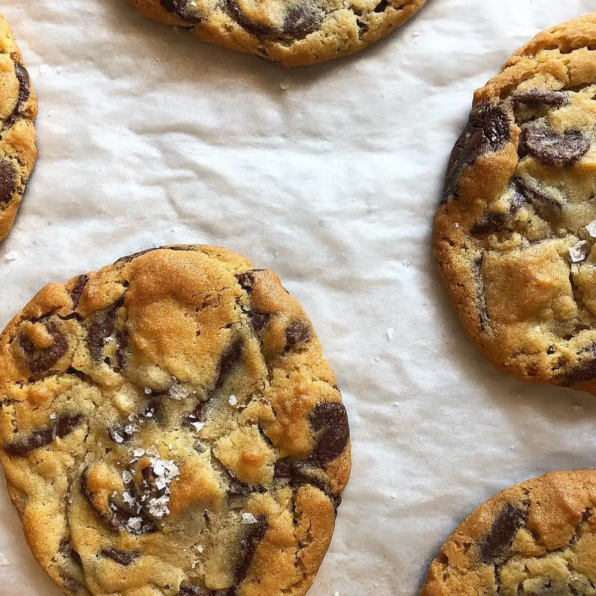 Chocolate Chip Cookie