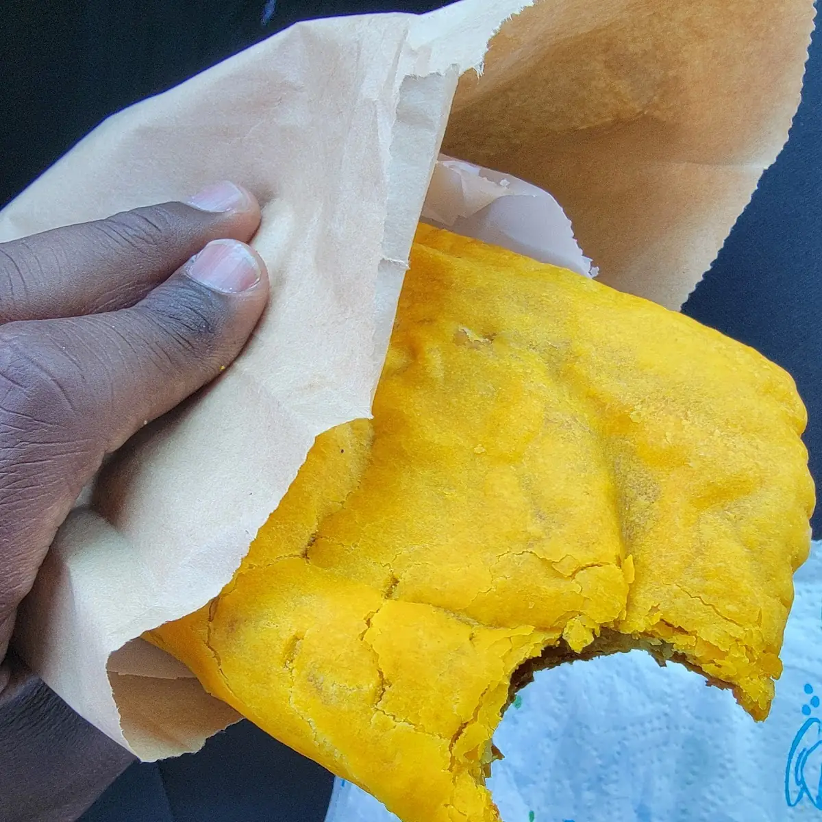 Chicken Curry Patty
