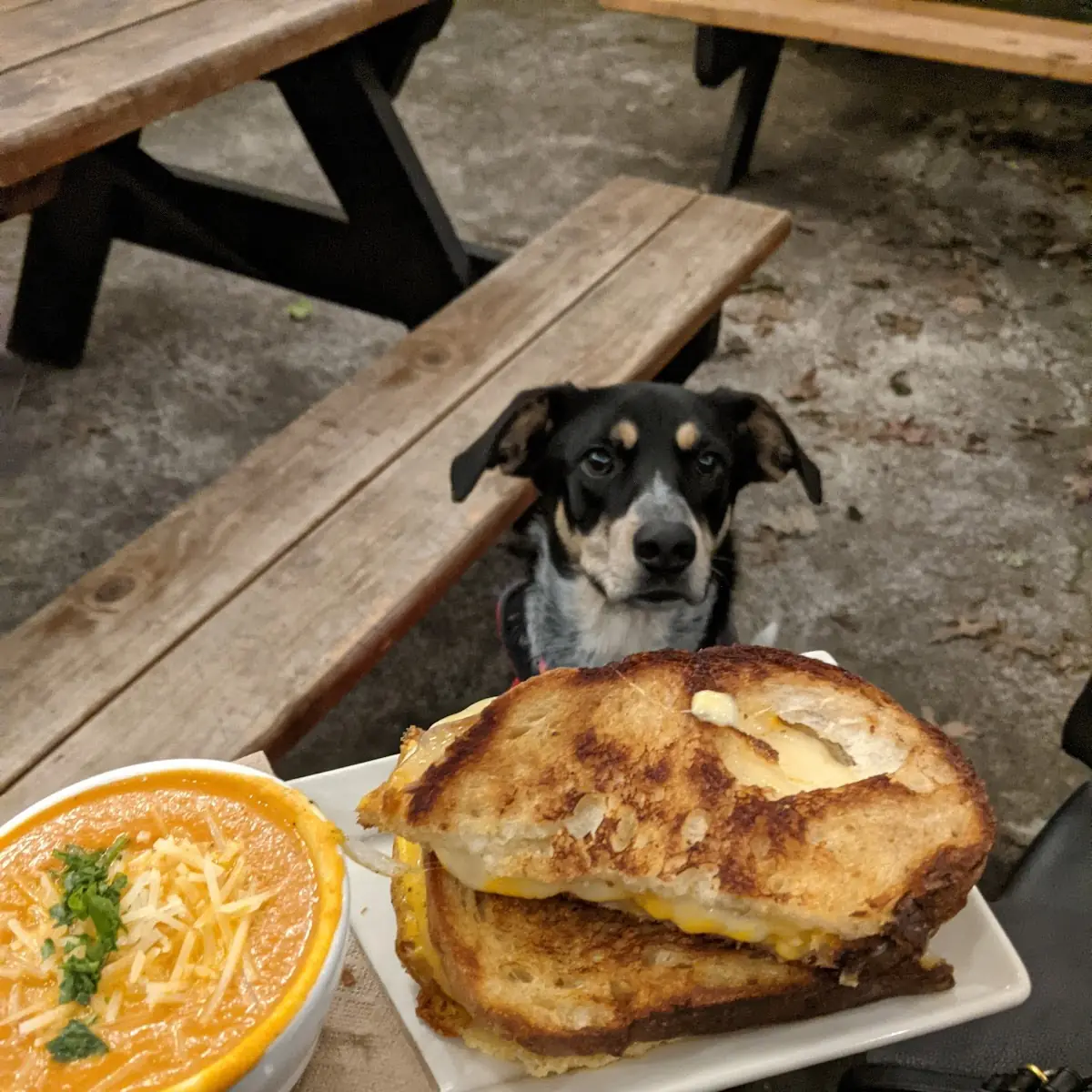 Grilled Cheese and Tomato Soup