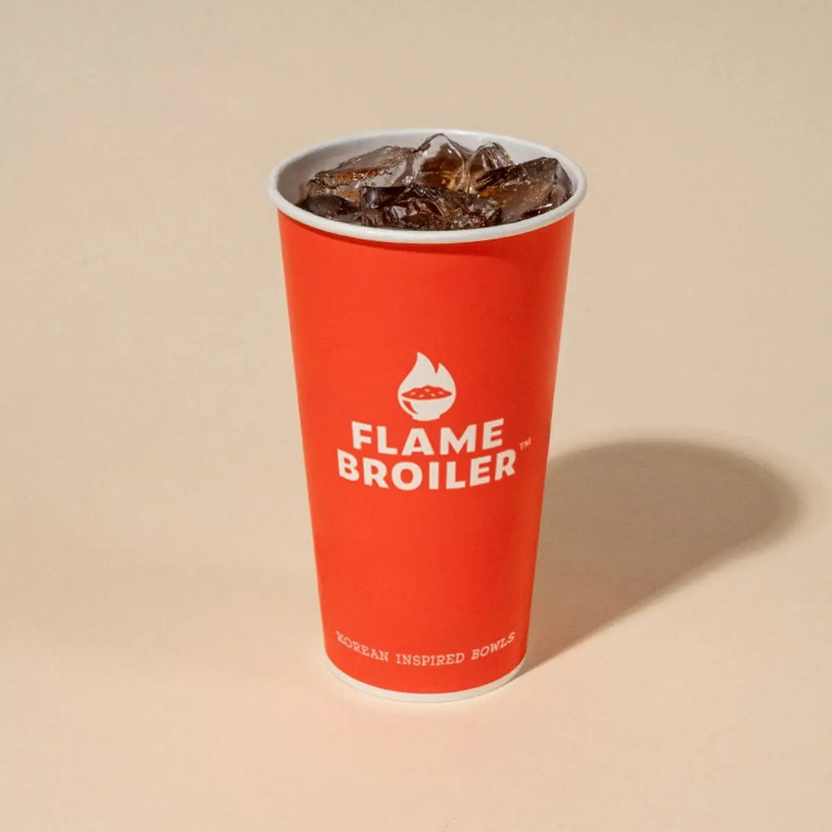 Regular Fountain Drink 20oz
