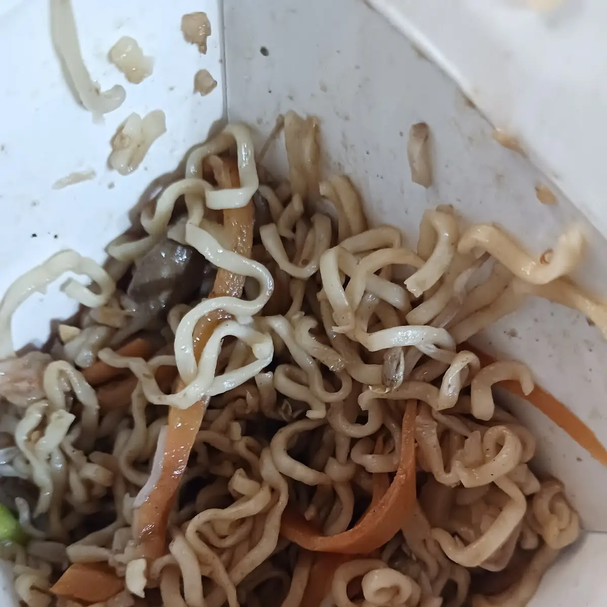Supposed to Be Shrimp Lo Mein