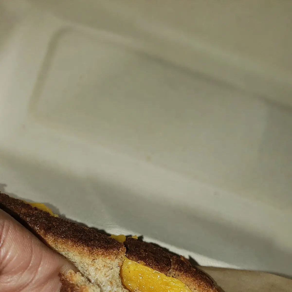 Kids Grilled Cheese
