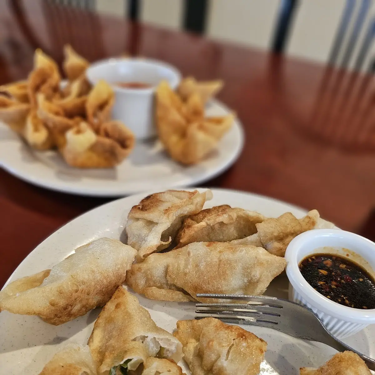 Fried Dumplings 8