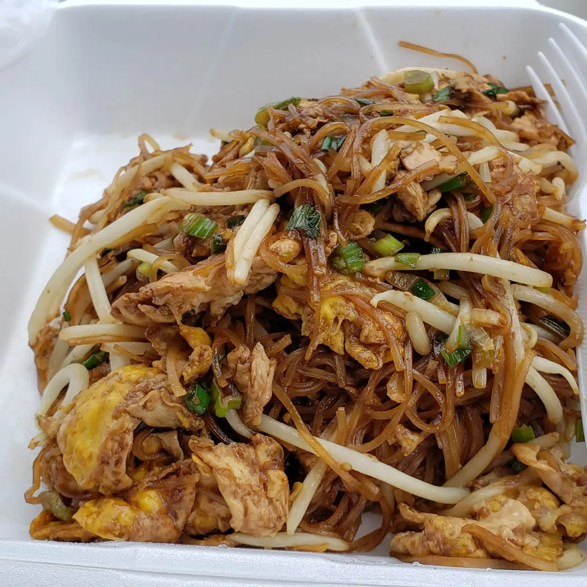 Fried Rice Noodle