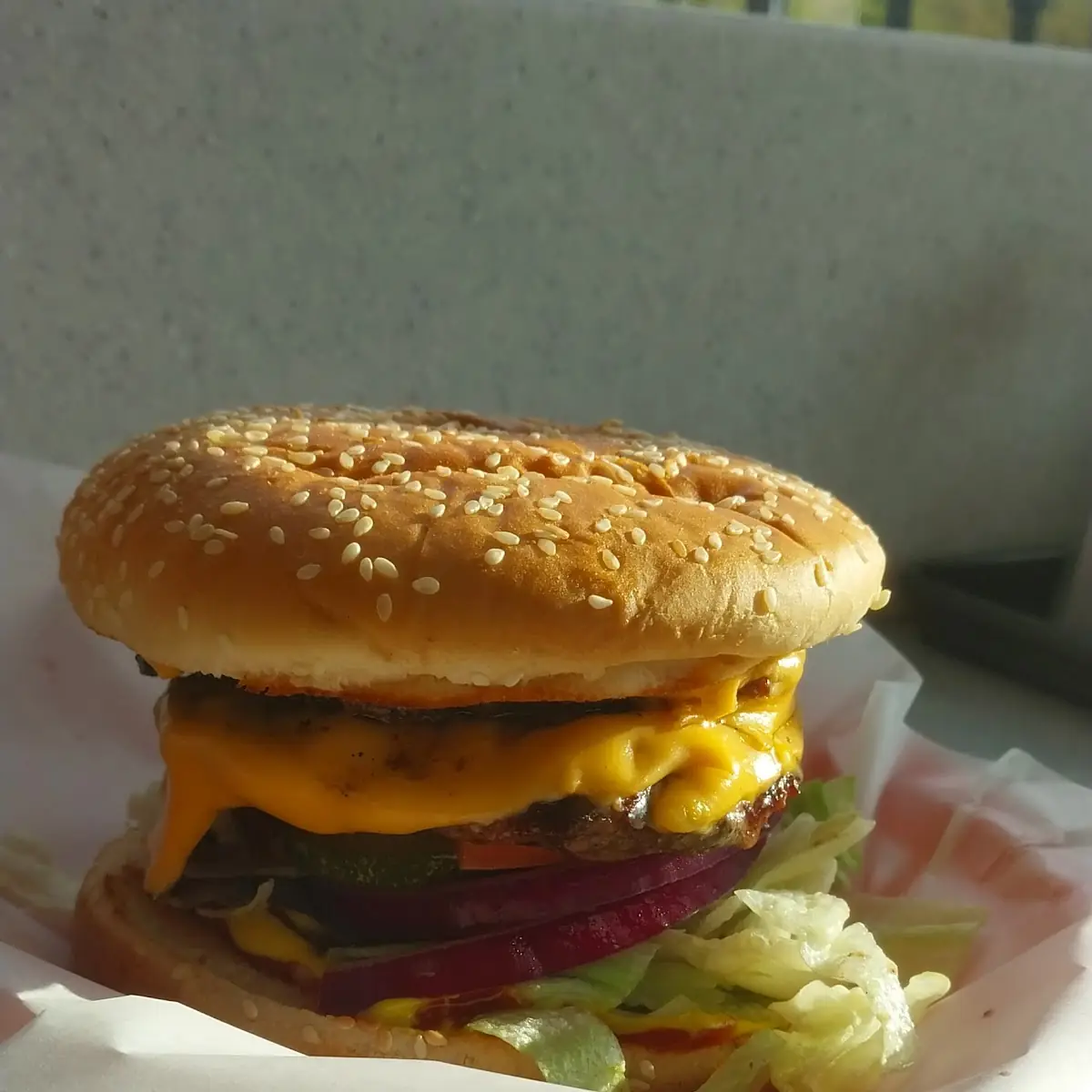 Double Cheeseburger Combo