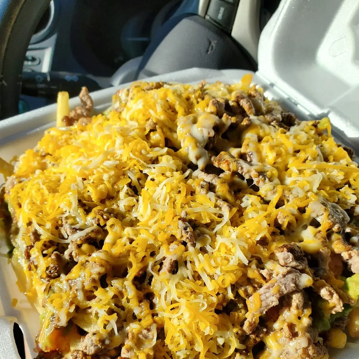 Carne Asada Fries