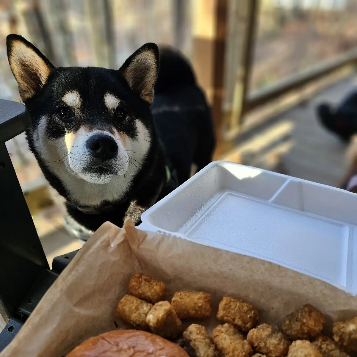Tater Tots and Single Smashburger
