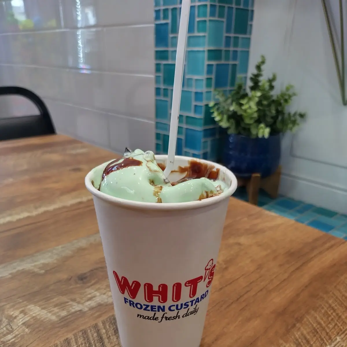 Mint Chocolate Ice Cream