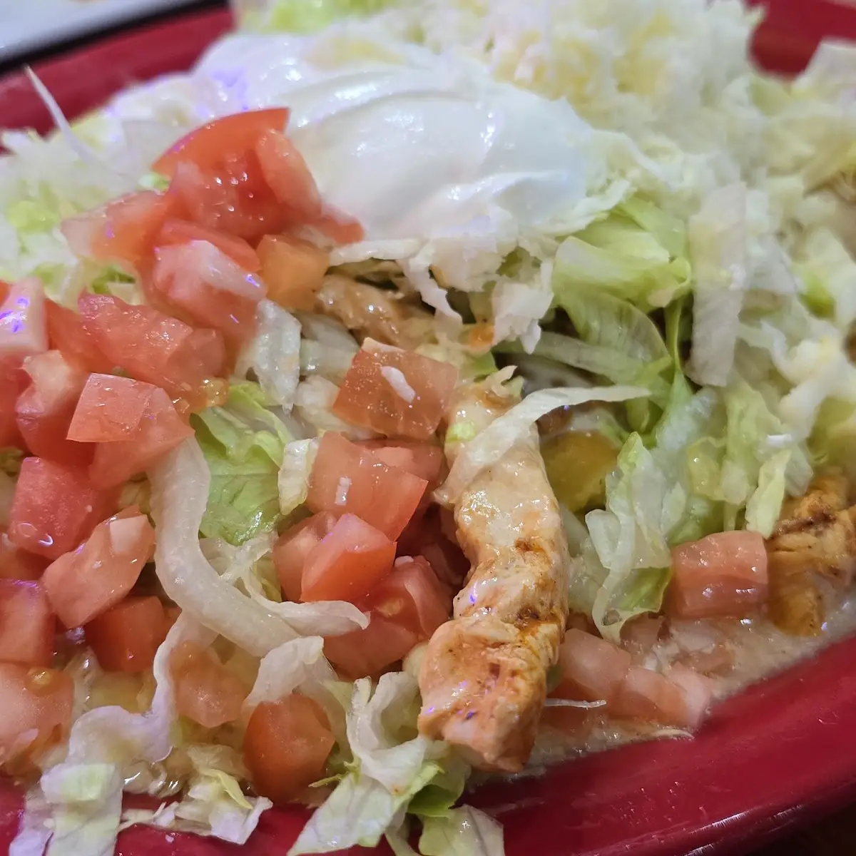 Enchiladas and Chicken Quesadilla