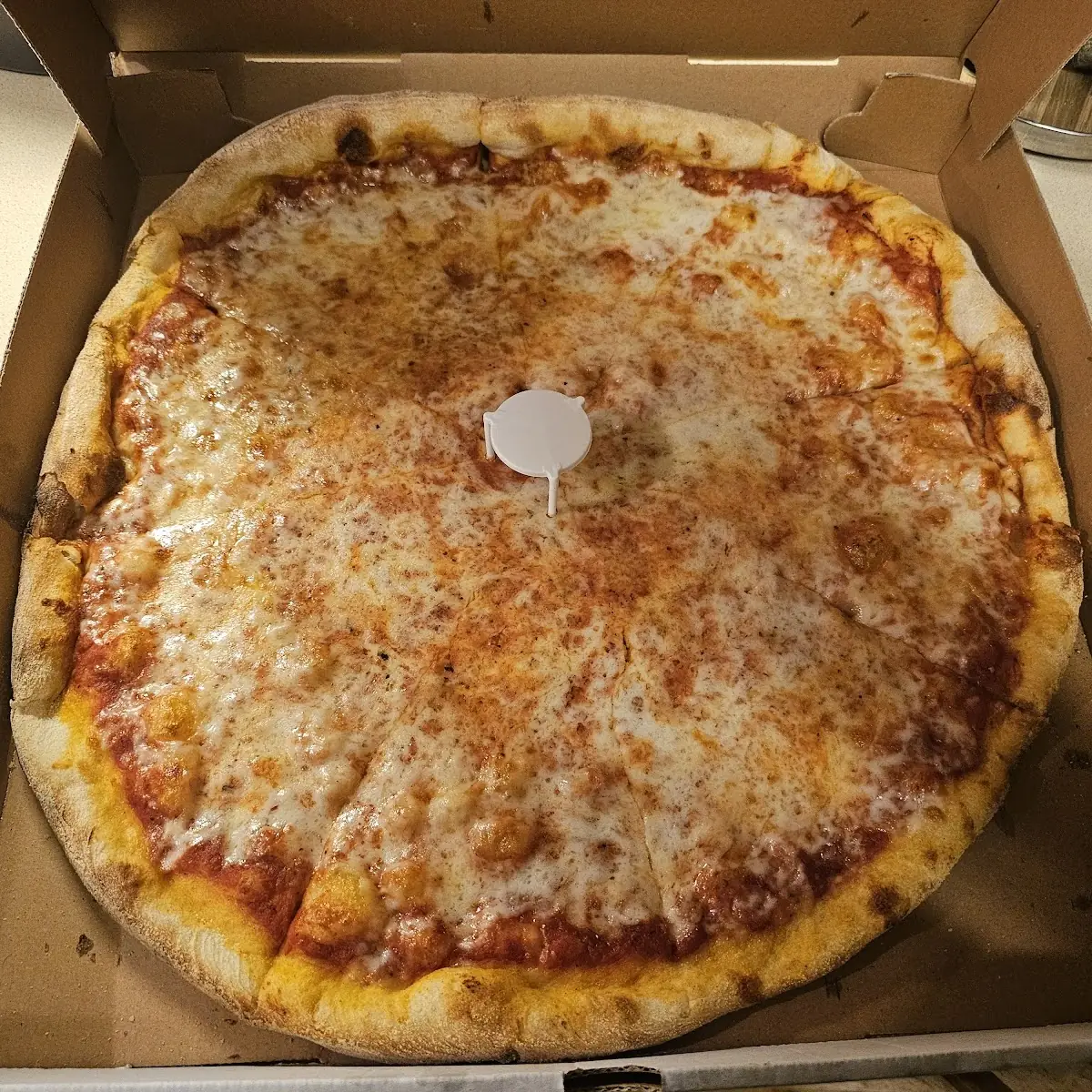 Large Cheese Pizza in Box