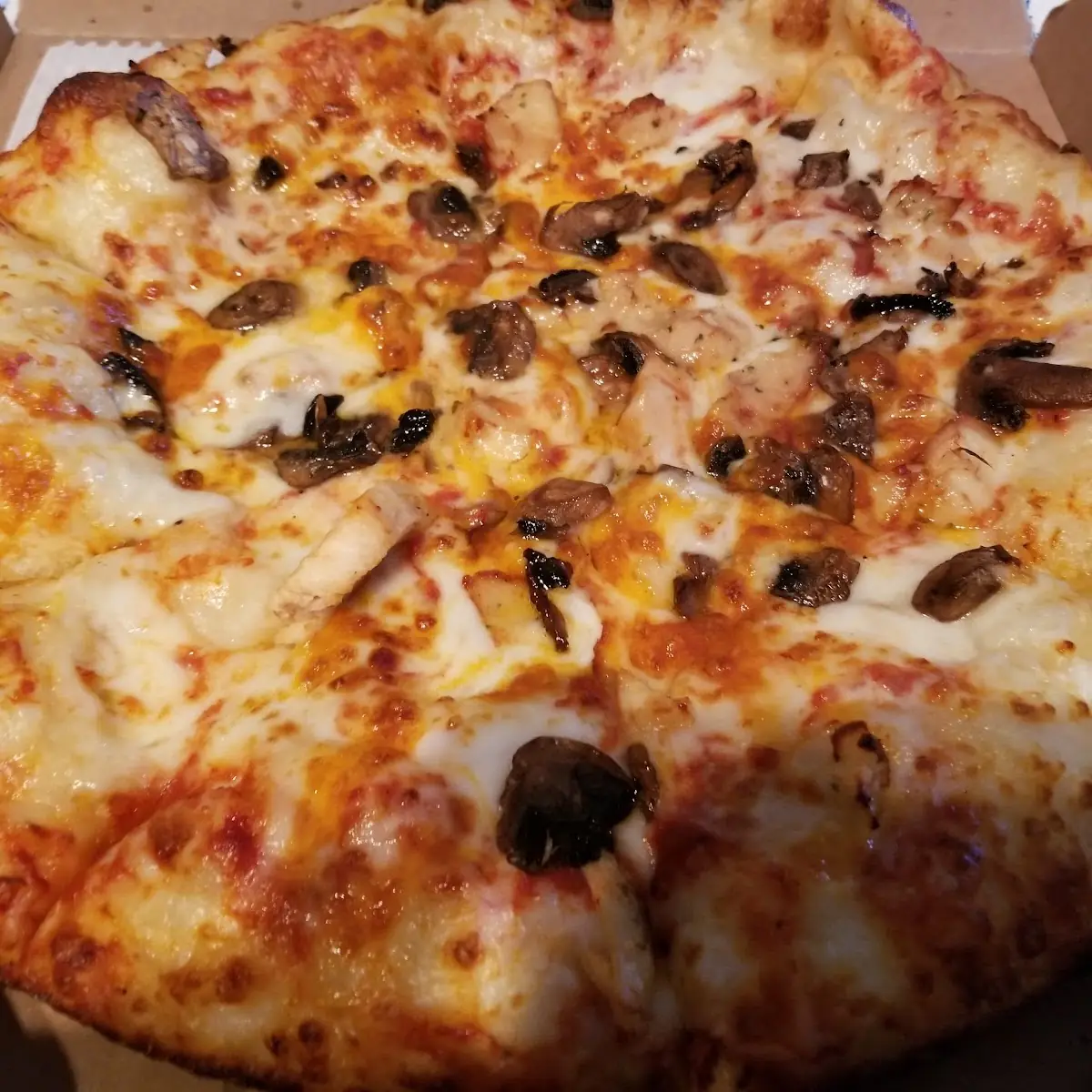 Mushroom Pizza Plus Onions and Pepperoni
