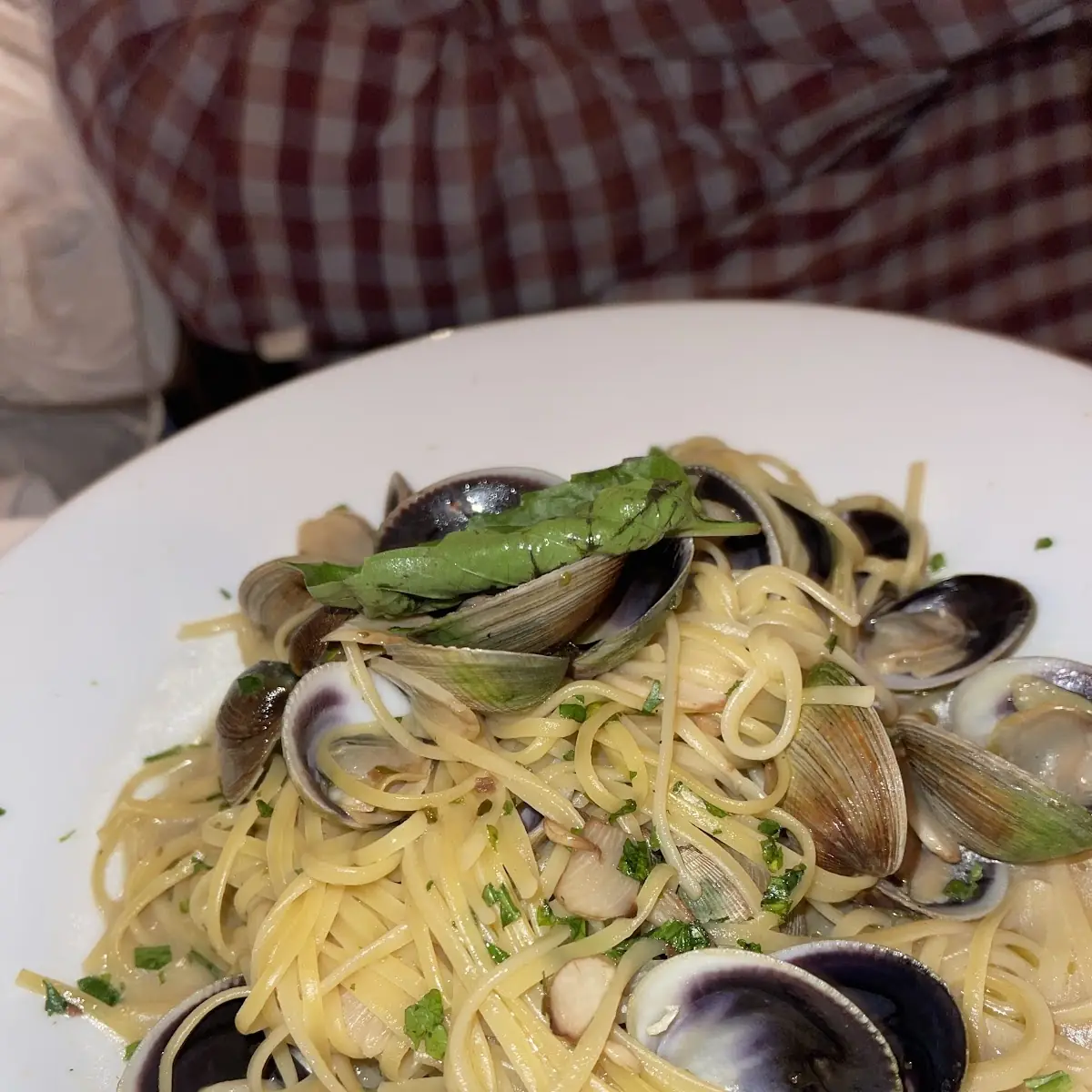 Linguini and Clam Sauce