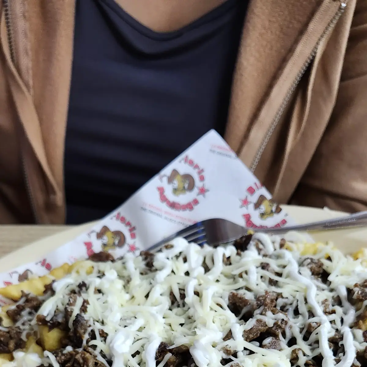 Carne Asada Fries