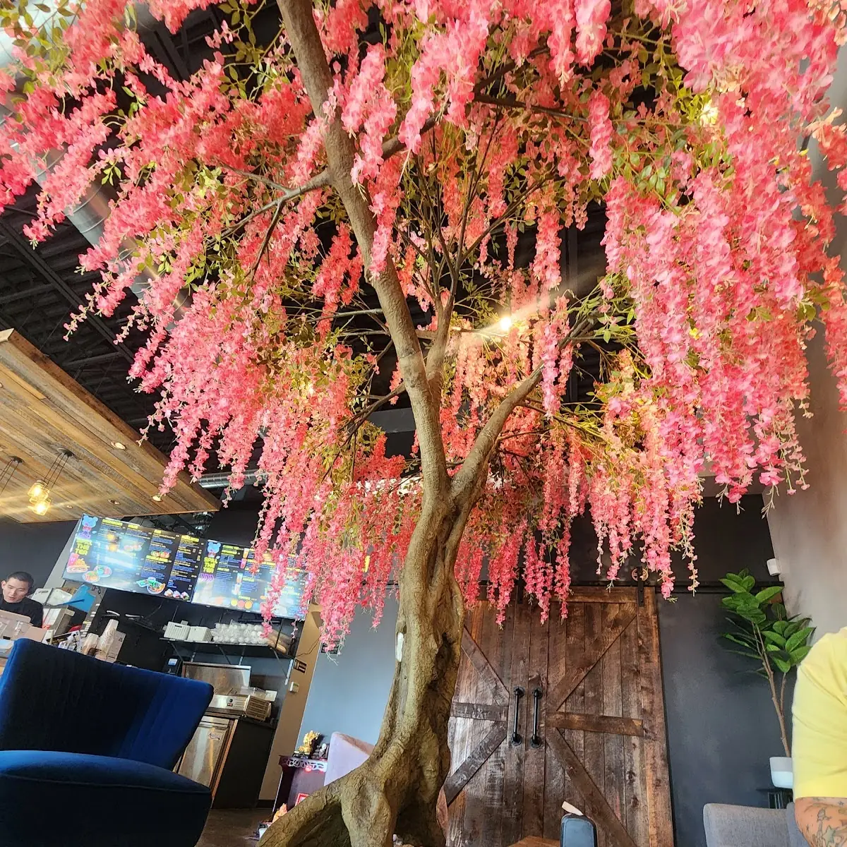 Cherry Blossom Tree