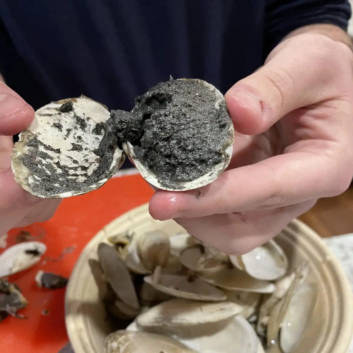 Steamed Clams