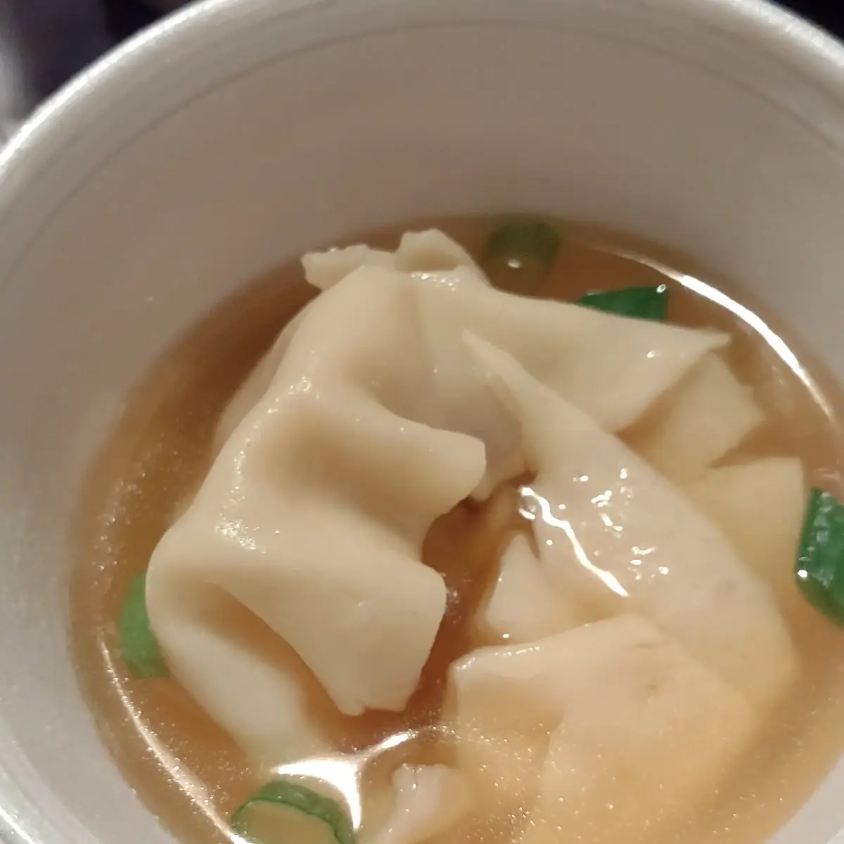 Wonton Soup